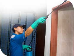 verminex pest control